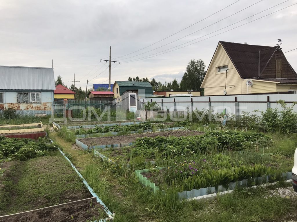 Снт ручеек. Ручеек Сургут. СНТ Ручеек Сургут. СНТ Ручеек старый городок. Дача Ручеек Сургут.